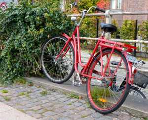 cykel-stor